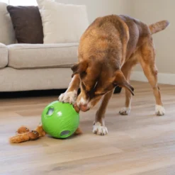 Nina Ottosson By Outward Hound Snuffle N' Treat Interactive Puzzle Ball & Treat Dispenser Dog Toy, Green -ROYAL CANIN Shop 855590 PT4. AC SS1800 V1694286045