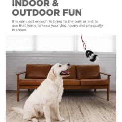 Outward Hound Tail Teaser With Refill Dog & Cat Teaser Toy -ROYAL CANIN Shop 85934 PT2. AC SS1800 V1636518395