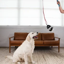 Outward Hound Tail Teaser With Refill Dog & Cat Teaser Toy -ROYAL CANIN Shop 85934 PT6. AC SS1800 V1636504653