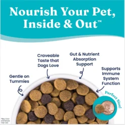 Solid Gold Nutrientboost Leaping Waters Sensitive Stomach Grain-Free Cold Water Salmon & Vegetable Dry Dog Food -ROYAL CANIN Shop 861534 PT5. AC SS1800 V1695999060