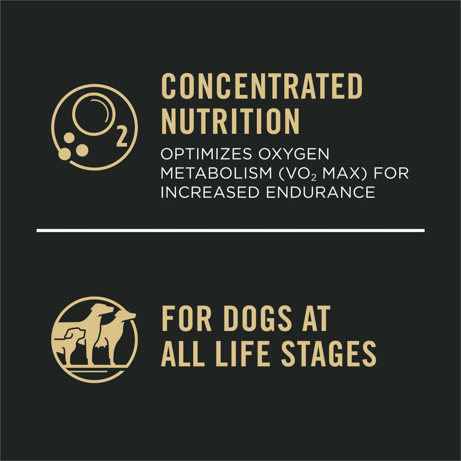 Purina Pro Plan Sport Performance All Life Stages High-Protein 30/20 Salmon & Rice Formula Dry Dog Food 5 Purina Pro Plan Sport Performance All Life Stages High-Protein 30/20 Salmon & Rice Formula Dry Dog Food - Image 5