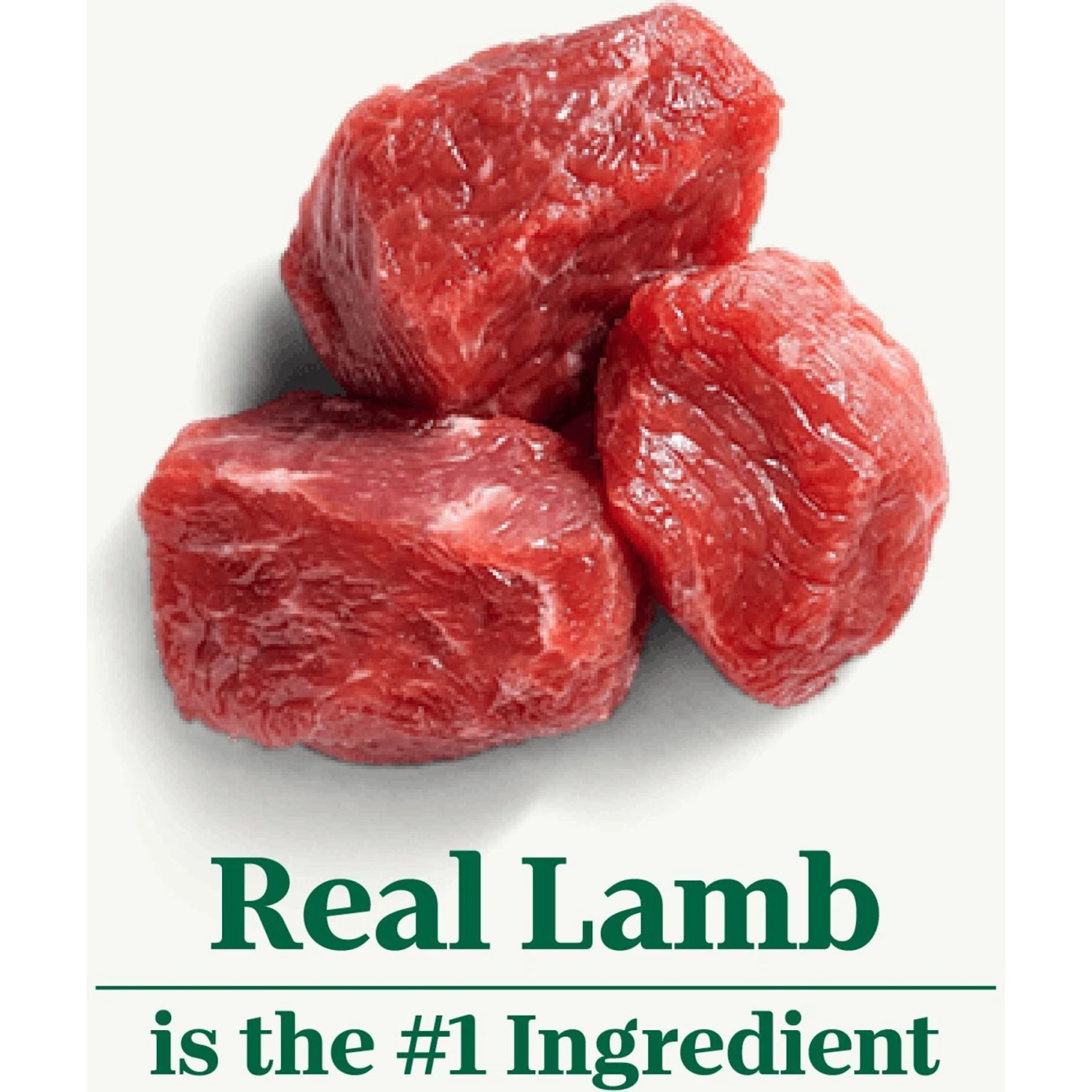 Nutro Natural Choice Senior Lamb & Brown Rice Recipe Dry Dog Food 4 Nutro Natural Choice Senior Lamb & Brown Rice Recipe Dry Dog Food - Image 4