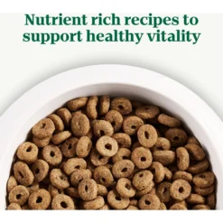 Nutro Natural Choice Senior Lamb & Brown Rice Recipe Dry Dog Food 17 Nutro Natural Choice Senior Lamb & Brown Rice Recipe Dry Dog Food -ROYAL CANIN Shop 86783 PT8. AC SS1800 V1691417419