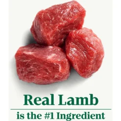 Nutro Natural Choice Small Bites Adult Lamb & Brown Rice Recipe Dry Dog Food -ROYAL CANIN Shop 86784 PT3. AC SS1800 V1691423585