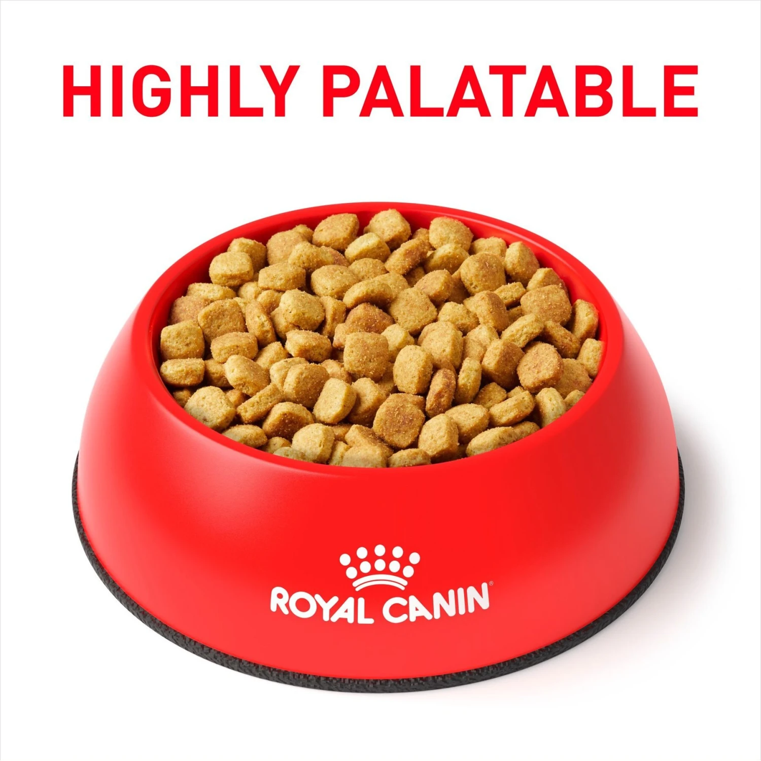 Royal Canin Veterinary Diet Adult Ultamino Dry Dog Food 3 Royal Canin Veterinary Diet Adult Ultamino Dry Dog Food - Image 3