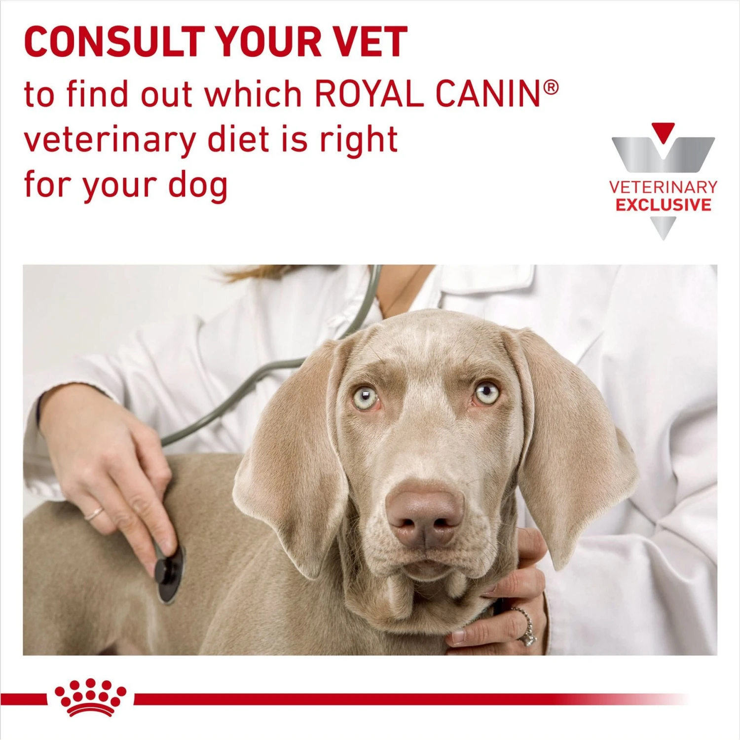 Royal Canin Veterinary Diet Adult Ultamino Dry Dog Food 9 Royal Canin Veterinary Diet Adult Ultamino Dry Dog Food - Image 9