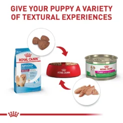 Royal Canin Size Health Nutrition Small Indoor Puppy Dry Dog Food -ROYAL CANIN Shop 88062 PT5. AC SS1800 V1697216114