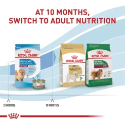 Royal Canin Size Health Nutrition Small Indoor Puppy Dry Dog Food -ROYAL CANIN Shop 88062 PT6. AC SS1800 V1697212368