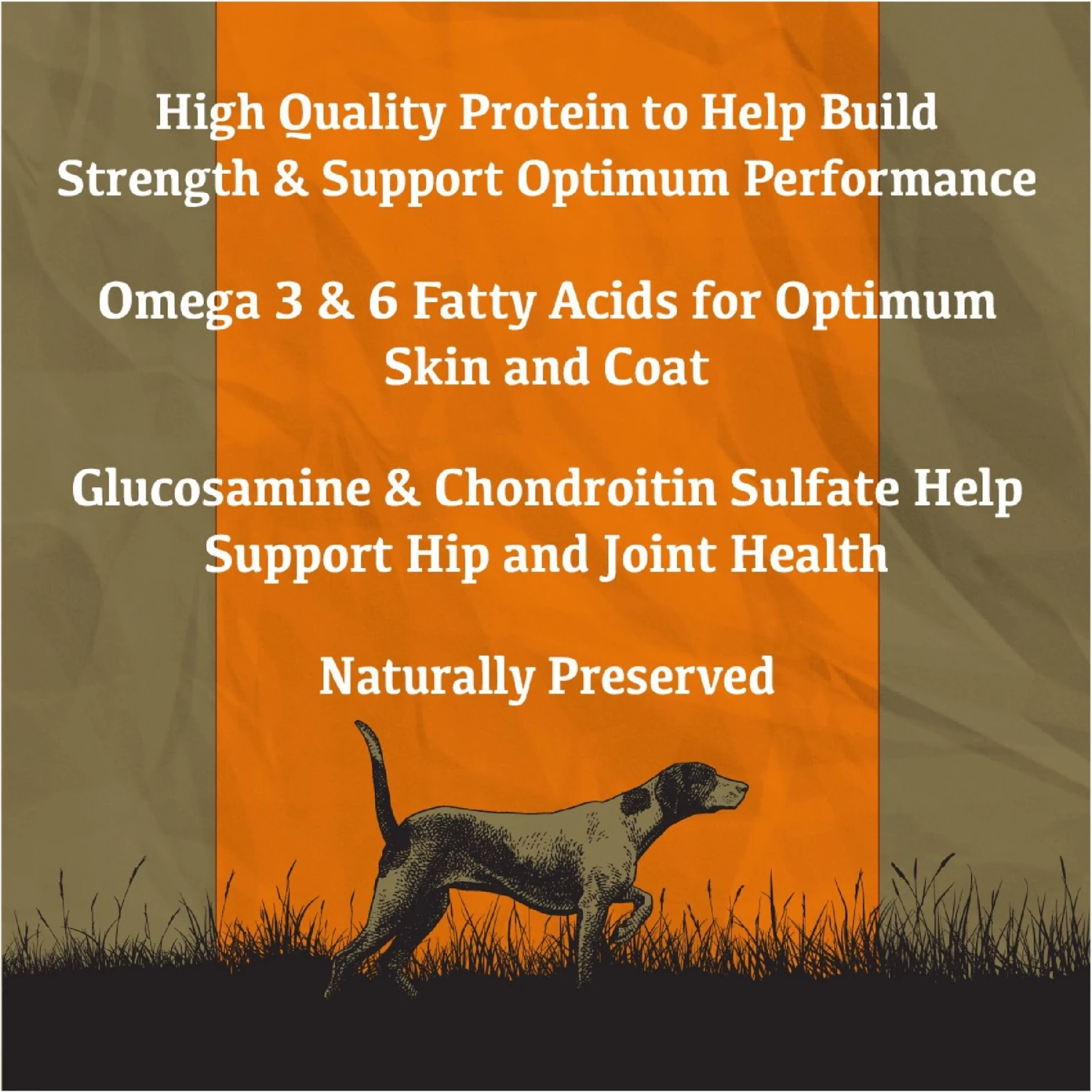 Sportsman's Pride Classic Adult Maintenance Natural Dry Dog Food, 40-lb Bag 3 Sportsman's Pride Classic Adult Maintenance Natural Dry Dog Food, 40-lb Bag - Image 3
