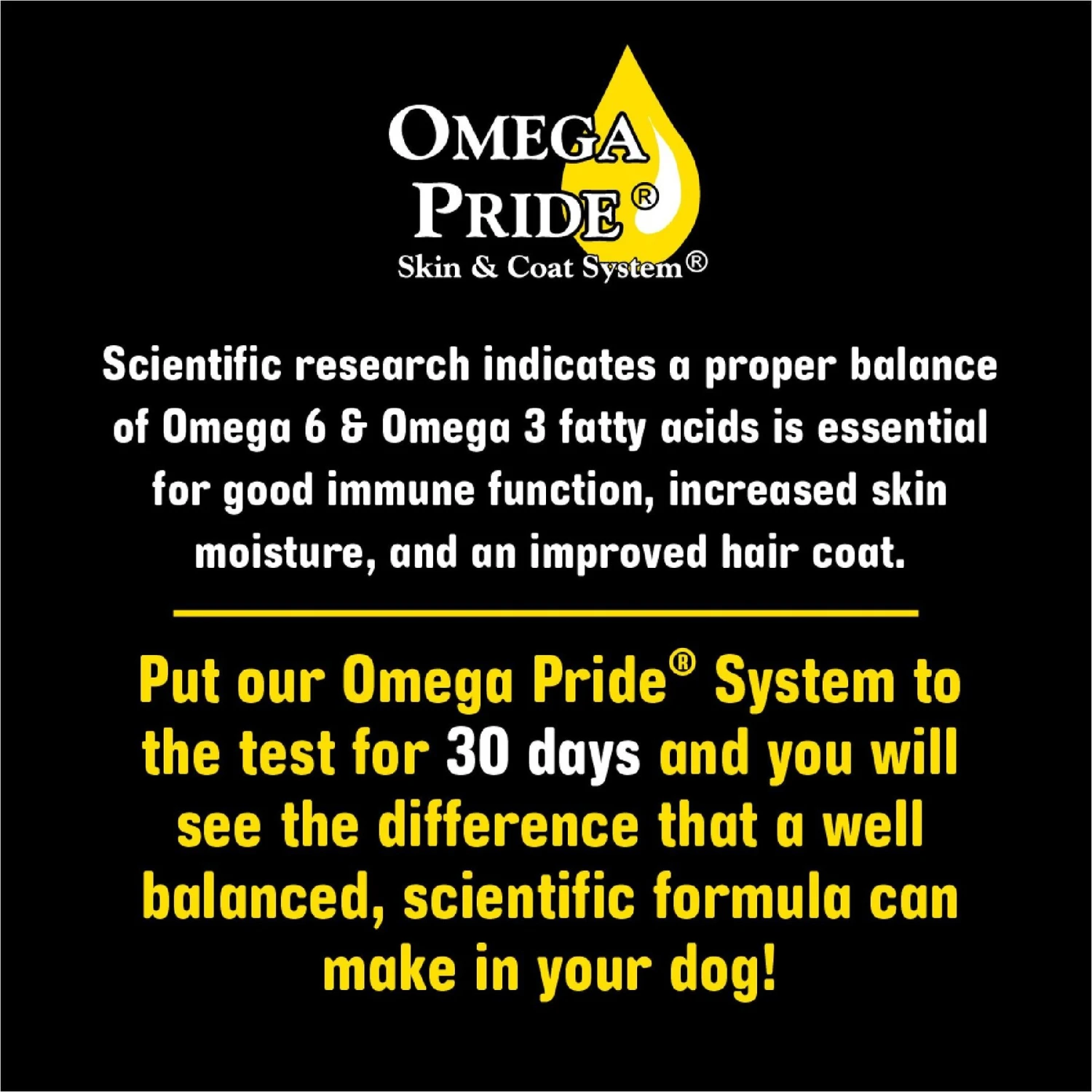 Sportsman's Pride Classic Adult Maintenance Natural Dry Dog Food, 40-lb Bag 4 Sportsman's Pride Classic Adult Maintenance Natural Dry Dog Food, 40-lb Bag - Image 4