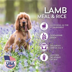 Wholesomes With Lamb Meal & Rice Formula Dry Dog Food 11 Wholesomes With Lamb Meal & Rice Formula Dry Dog Food -ROYAL CANIN Shop 90727 PT3. AC SS1800 V1626361037