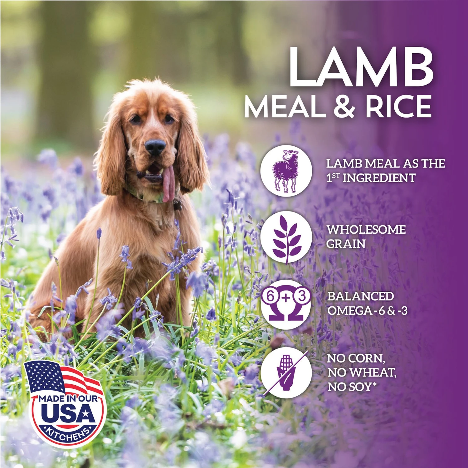 Wholesomes With Lamb Meal & Rice Formula Dry Dog Food 4 Wholesomes With Lamb Meal & Rice Formula Dry Dog Food - Image 4