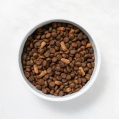 Martha Stewart Pet Food Salmon & Quinoa Recipe With Garden Vegetables Dry Dog Food -ROYAL CANIN Shop 910998 PT2. AC SS1800 V1692208012