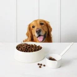 Martha Stewart Pet Food Salmon & Quinoa Recipe With Garden Vegetables Dry Dog Food -ROYAL CANIN Shop 910998 PT4. AC SS1800 V1692208012