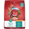 Purina ONE Plus Digestive Health Formula Dry Dog Food, 8-lb Bag