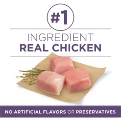 Purina ONE High Protein + Vibrant Maturity 7 Plus Formula Dry Senior Dog Food -ROYAL CANIN Shop 918782 PT2. AC SS1800 V1694624325