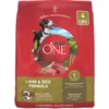 Purina ONE Lamb & Rice Formula Dry Dog Food