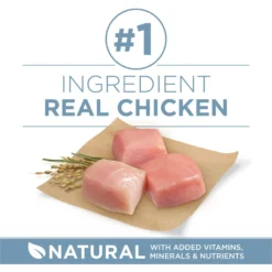 Purina ONE Plus Joint Health Formula Natural With Added Vitamins, Minerals & Nutrients Dry Dog Food, 8-lb Bag -ROYAL CANIN Shop 918830 PT2. AC SS1800 V1694623175