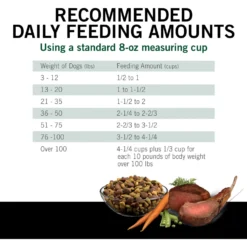 Dog Chow High Protein Recipe With Real Lamb & Beef Flavor Dry Dog Food, 44-lb Bag -ROYAL CANIN Shop 918894 PT7. AC SS1800 V1699367267