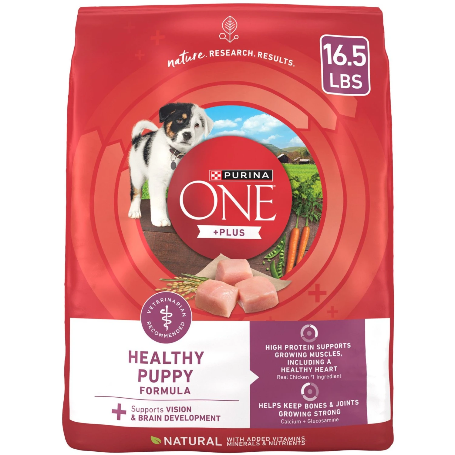 Purina ONE +Plus Natural High Protein Healthy Puppy Formula Dry Puppy Food 1 Purina ONE +Plus Natural High Protein Healthy Puppy Formula Dry Puppy Food