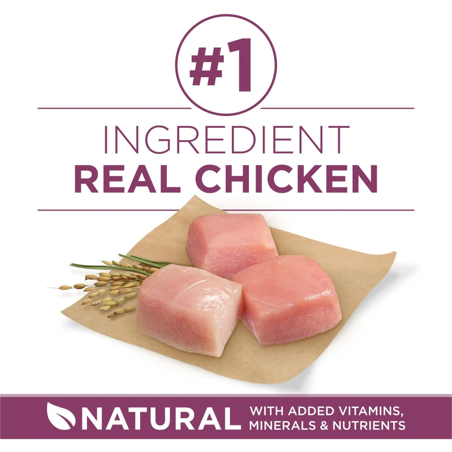 Purina ONE +Plus Natural High Protein Healthy Puppy Formula Dry Puppy Food 4 Purina ONE +Plus Natural High Protein Healthy Puppy Formula Dry Puppy Food - Image 4