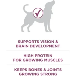 Purina ONE +Plus Natural High Protein Healthy Puppy Formula Dry Puppy Food 13 Purina ONE +Plus Natural High Protein Healthy Puppy Formula Dry Puppy Food -ROYAL CANIN Shop 91979 PT4. AC SS1800 V1647912990