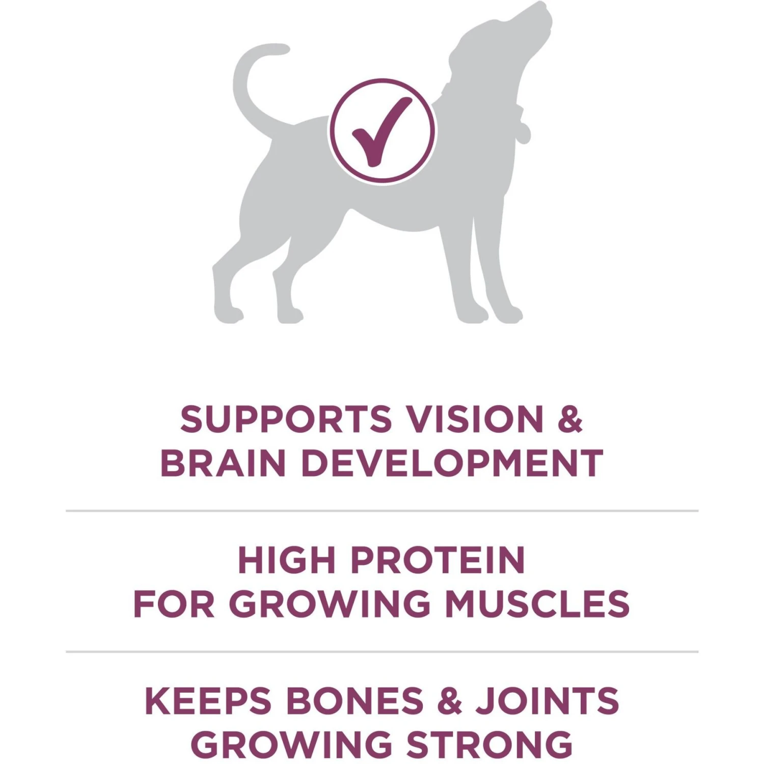 Purina ONE +Plus Natural High Protein Healthy Puppy Formula Dry Puppy Food 5 Purina ONE +Plus Natural High Protein Healthy Puppy Formula Dry Puppy Food - Image 5