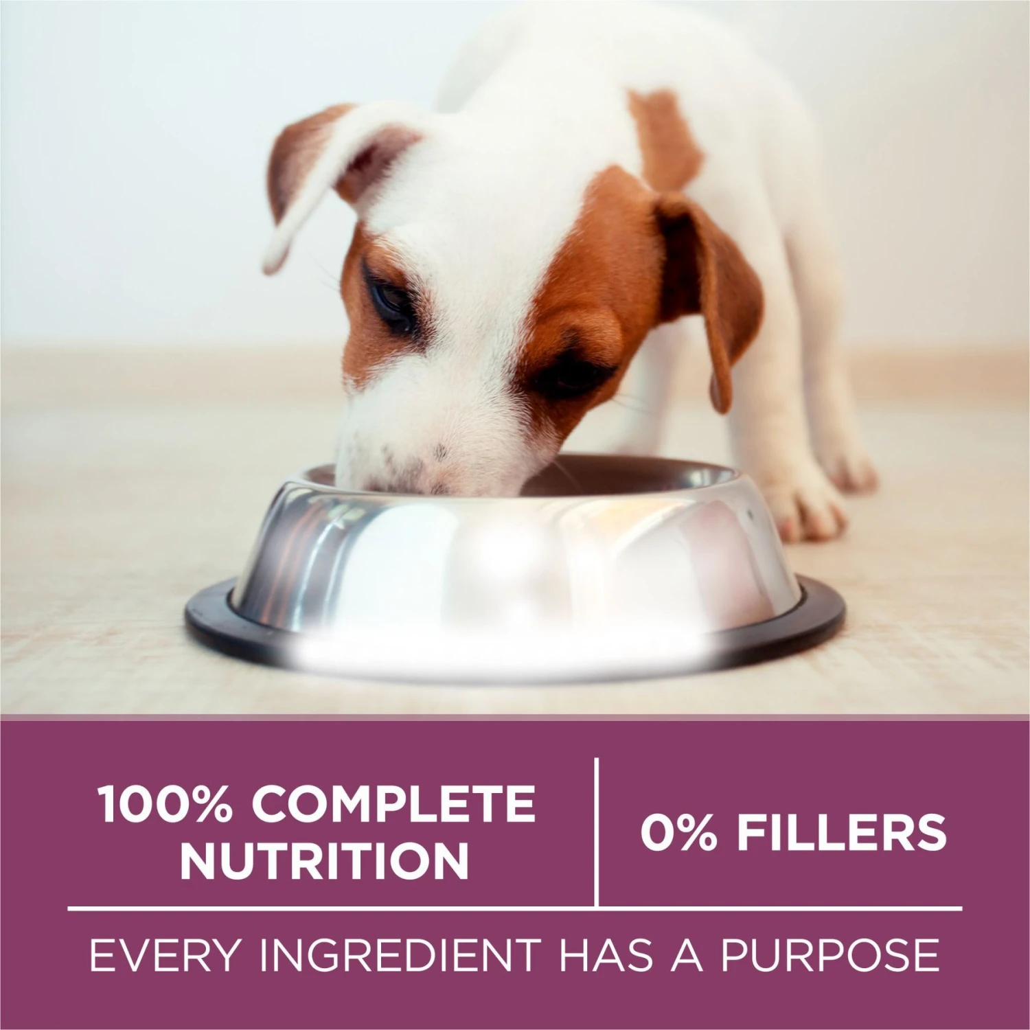 Purina ONE +Plus Natural High Protein Healthy Puppy Formula Dry Puppy Food 7 Purina ONE +Plus Natural High Protein Healthy Puppy Formula Dry Puppy Food - Image 7