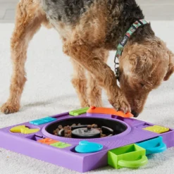 Brightkins DJ Doggo Puzzle Feeder Dog Toy -ROYAL CANIN Shop 930054 PT4. AC SS1800 V1698765989