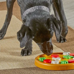 Brightkins Pizza Party! Treat Puzzle Dog Toy -ROYAL CANIN Shop 930086 PT3. AC SS1800 V1698765996