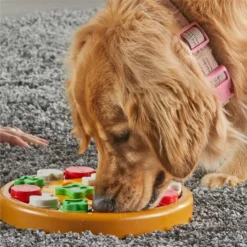 Brightkins Pizza Party! Treat Puzzle Dog Toy -ROYAL CANIN Shop 930086 PT4. AC SS1800 V1698766050