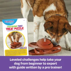 Brightkins Touchdown Time! Treat Puzzle Dog Toy -ROYAL CANIN Shop 930118 PT2. AC SS1800 V1698766691
