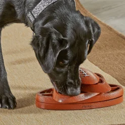 Brightkins Touchdown Time! Treat Puzzle Dog Toy -ROYAL CANIN Shop 930118 PT3. AC SS1800 V1698766048
