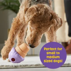 Brightkins Small Ice Cream Treat Dispenser Dog Toy -ROYAL CANIN Shop 930134 PT3. AC SS1800 V1698766048