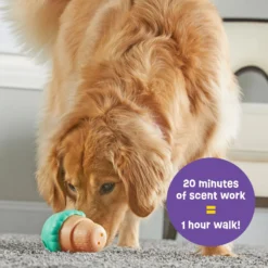 Brightkins Large Ice Cream Treat Dispenser Dog Toy 9 Brightkins Large Ice Cream Treat Dispenser Dog Toy -ROYAL CANIN Shop 930150 PT2. AC SS1800 V1698765990