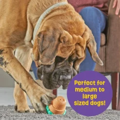 Brightkins Large Ice Cream Treat Dispenser Dog Toy 10 Brightkins Large Ice Cream Treat Dispenser Dog Toy -ROYAL CANIN Shop 930150 PT3. AC SS1800 V1698766692