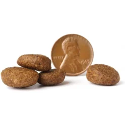 VICTOR Purpose Senior Healthy Weight Dry Dog Food 10 VICTOR Purpose Senior Healthy Weight Dry Dog Food -ROYAL CANIN Shop 93070 PT3. AC SS1800 V1677680750