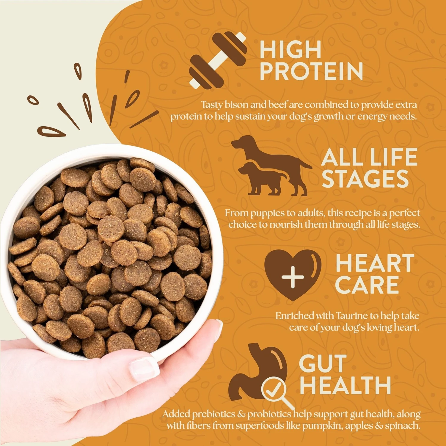 Earthborn Holistic Great Plains Feast Bison Meal & Vegetables Grain-Free Dry Dog Food 4 Earthborn Holistic Great Plains Feast Bison Meal & Vegetables Grain-Free Dry Dog Food - Image 4