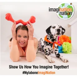 Nylabone Creative Play Eggi Treat Dispenser Dog Toy -ROYAL CANIN Shop 940662 PT7. AC SS1800 V1692280898