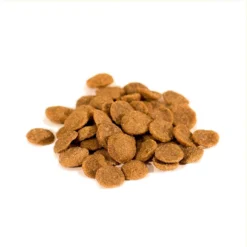 Wishbone Pasture Grain-Free Dry Dog Food -ROYAL CANIN Shop 94793 PT2. AC SS1800 V1582833805