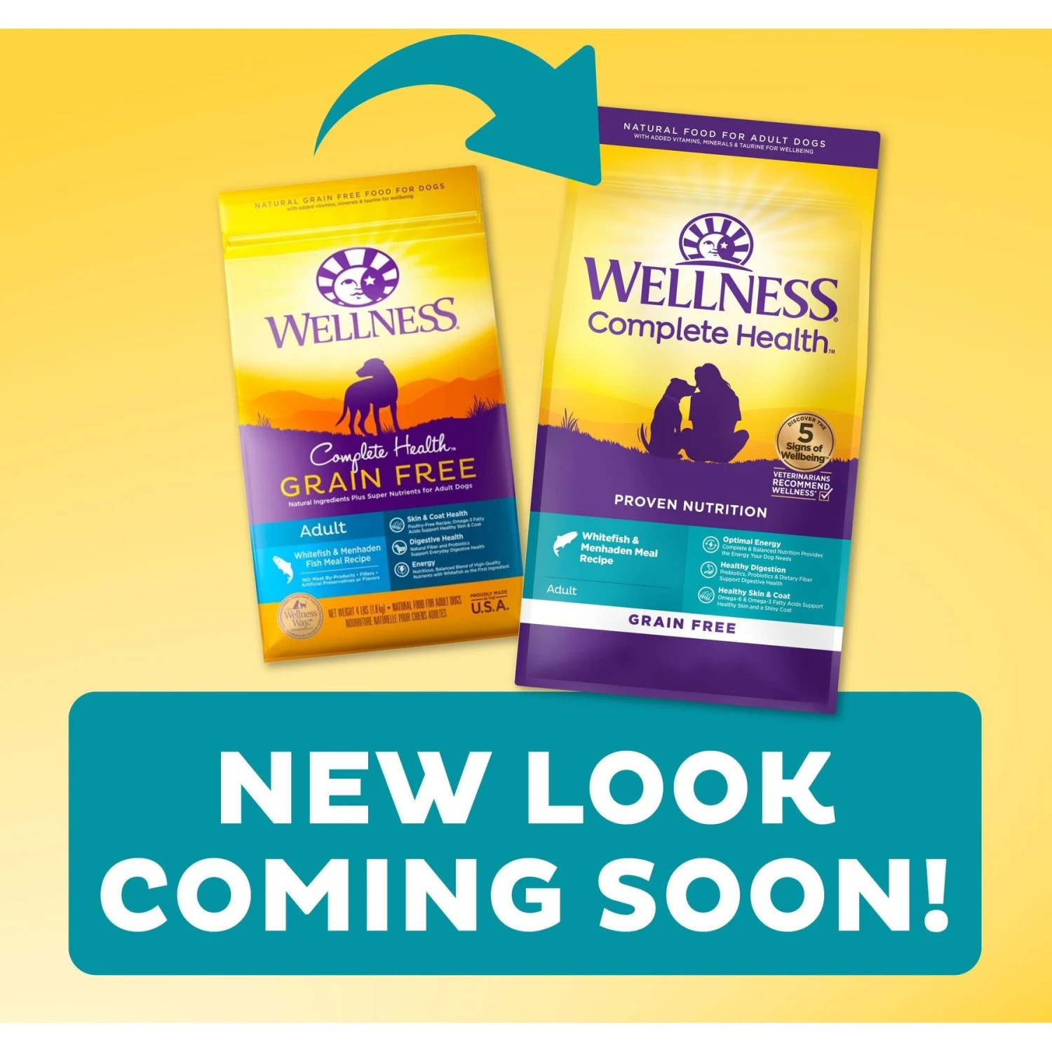 Wellness Grain-Free Complete Health Adult Whitefish & Menhaden Fish Meal Recipe Dry Dog Food 2 Wellness Grain-Free Complete Health Adult Whitefish & Menhaden Fish Meal Recipe Dry Dog Food - Image 2
