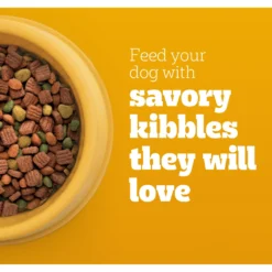 Pedigree High Protein Beef & Lamb Flavor Dog Kibble Adult Dry Dog Food -ROYAL CANIN Shop 958998 PT3. AC SS1800 V1695064035