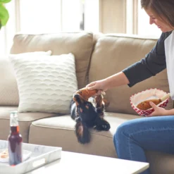 Frisco Corndog Interactive Plush Squeaky Dog Toy & Frisco Guacamole Hide & Seek Puzzle Plush Squeaky Dog Toy -ROYAL CANIN Shop 962086 PT3. AC SS1800 V1694782979