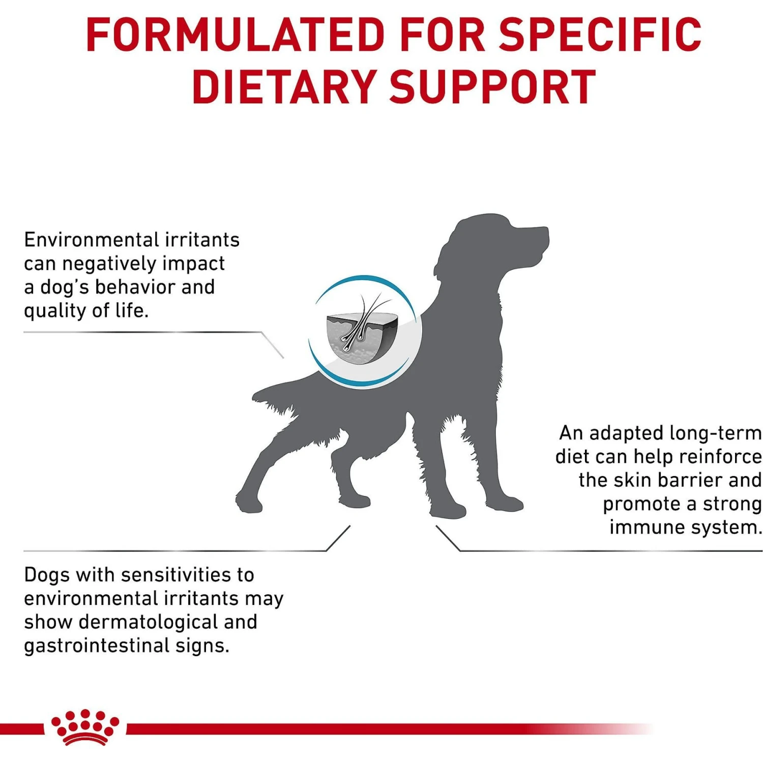 Royal Canin Veterinary Diet Skintopic Medium & Large Adult Dry Dog Food 5 Royal Canin Veterinary Diet Skintopic Medium & Large Adult Dry Dog Food - Image 5