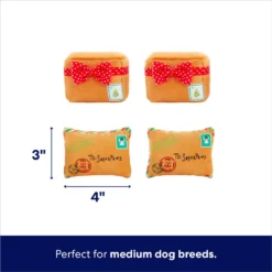 Frisco Holiday Hot Cocoa Hide & Seek Puzzle Plush Squeaky Dog Toy & Frisco Holiday North Pole Mailbox Hide & Seek Puzzle Plush Squeaky Dog Toy -ROYAL CANIN Shop 986166 PT7. AC SS1800 V1698258463