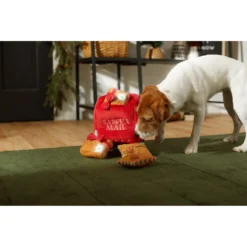 Frisco Holiday House Hide & Seek Puzzle Plush Squeaky Dog Toy & Frisco Holiday North Pole Mailbox Hide & Seek Puzzle Plush Squeaky Dog Toy -ROYAL CANIN Shop 986286 PT8. AC SS1800 V1698258055
